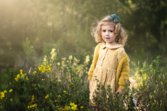 DSC_7005-Mejorado-NR-copia3-copiaf