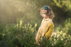 DSC_7008-Mejorado-NR-copia2-copiaf